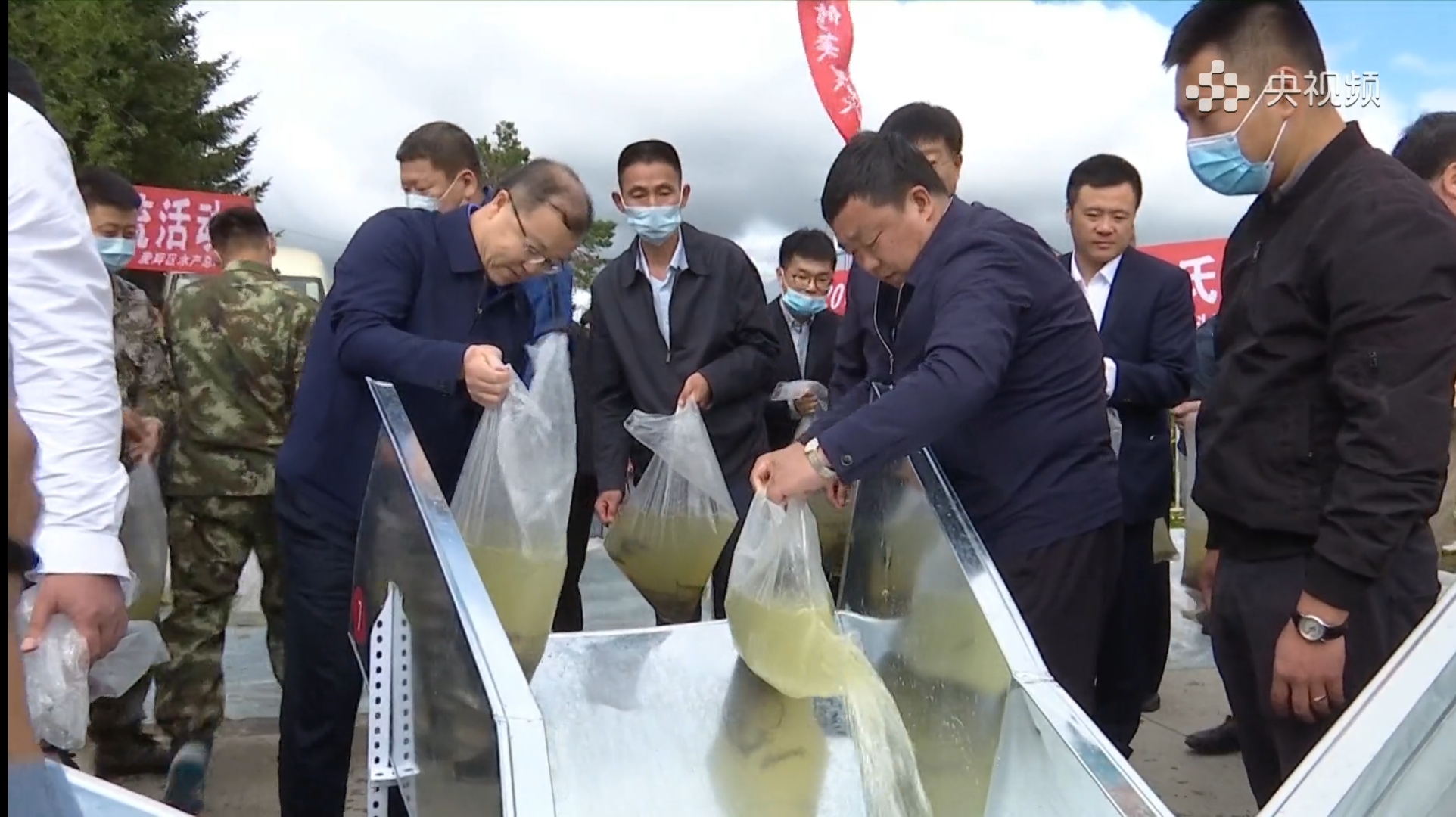 黑龙江渔民误捕1028斤鳇鱼，国家以22万元收购！中俄护鱼有效吗？