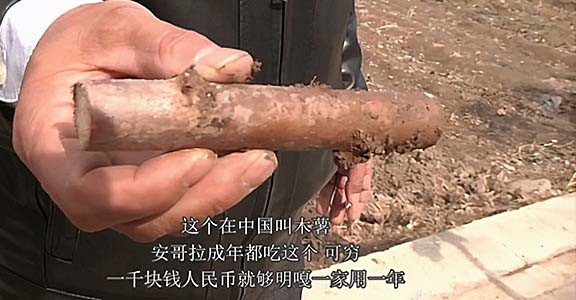 21岁非洲姑娘远嫁河南农民，公婆很满意，如今和儿子一起上幼儿园