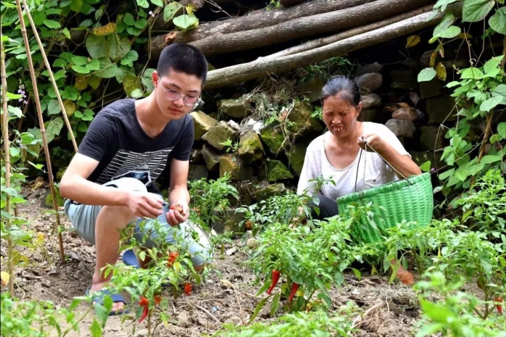 父母残疾全家靠吃野菜度日，大哥辍学打工供他上学，如今考进清华