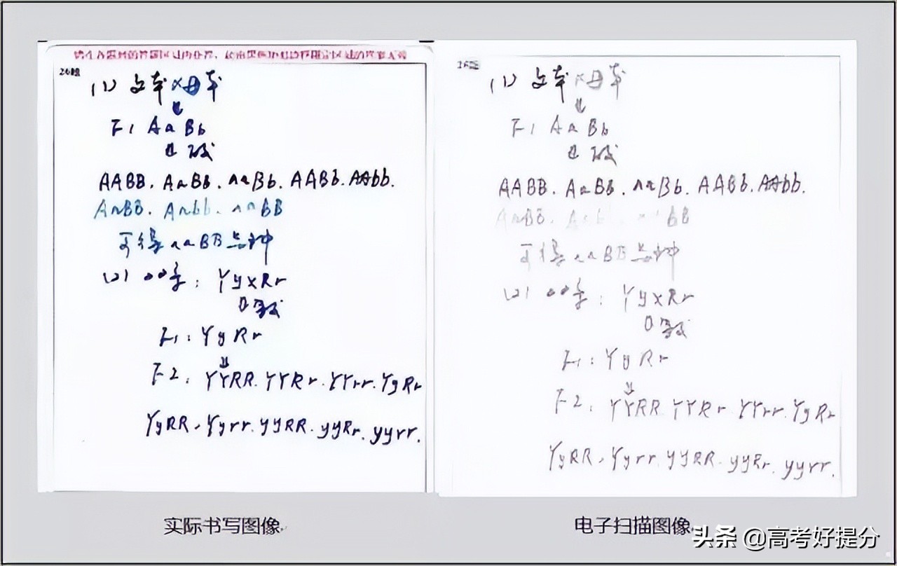 最后50天，高考命题要求、阅卷流程曝光！高考至少多拿20分