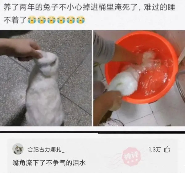 “本人姓连，宝宝快出生了该起个什么名字？”这届网友太坏了