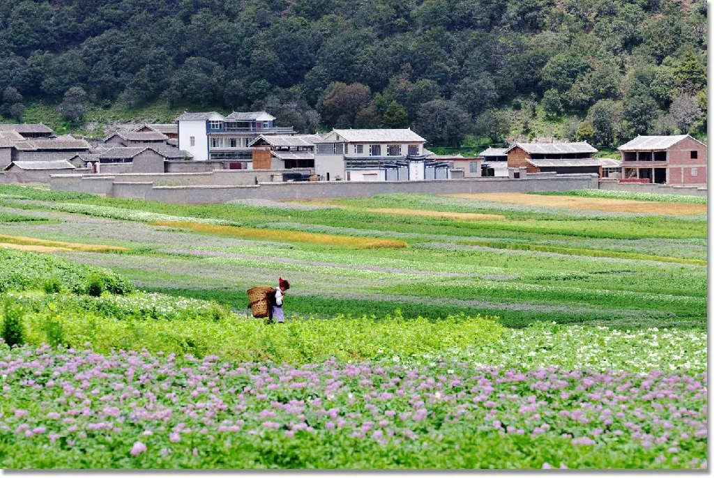 【乡村振兴】关于乡村振兴的10个最新观点