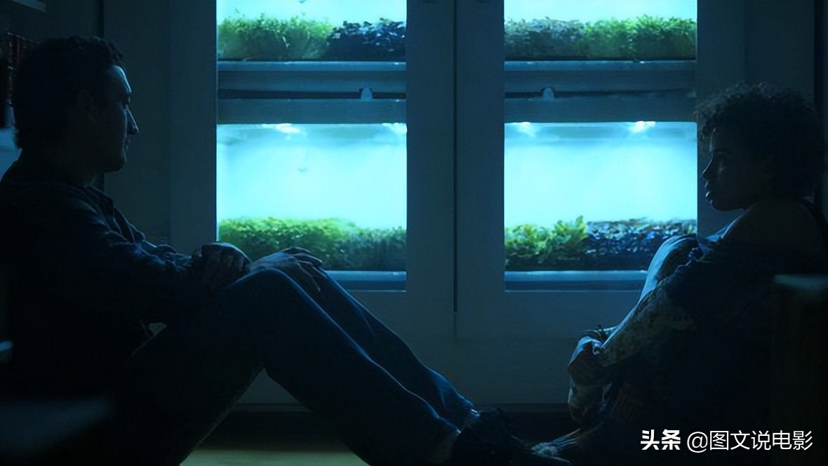 《蜘蛛头监狱》优质演员卡司，成果却令人失望