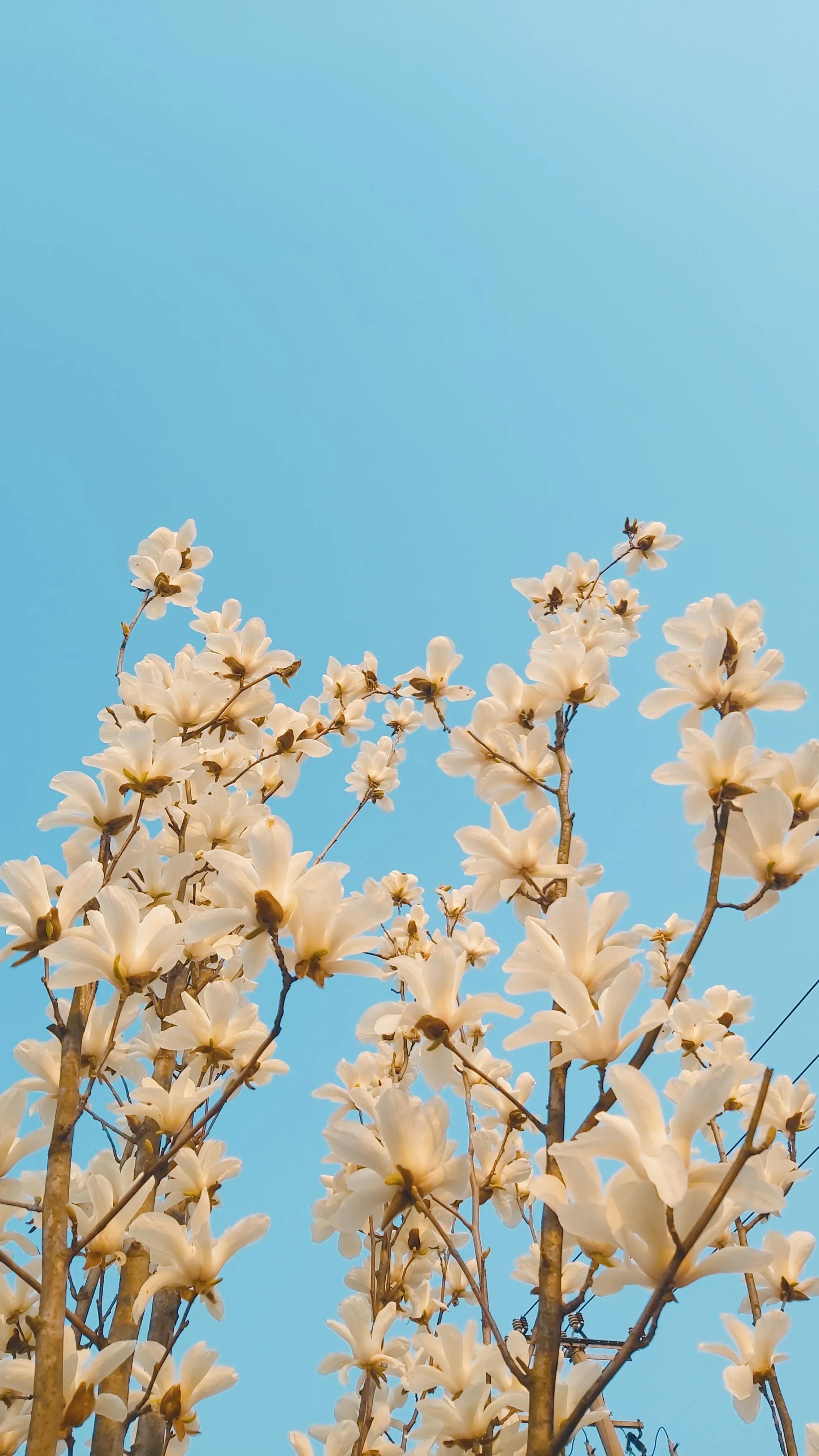 在上海你的朋友圈，还没有被芭比Q的亲友，只能说你太圈子太小