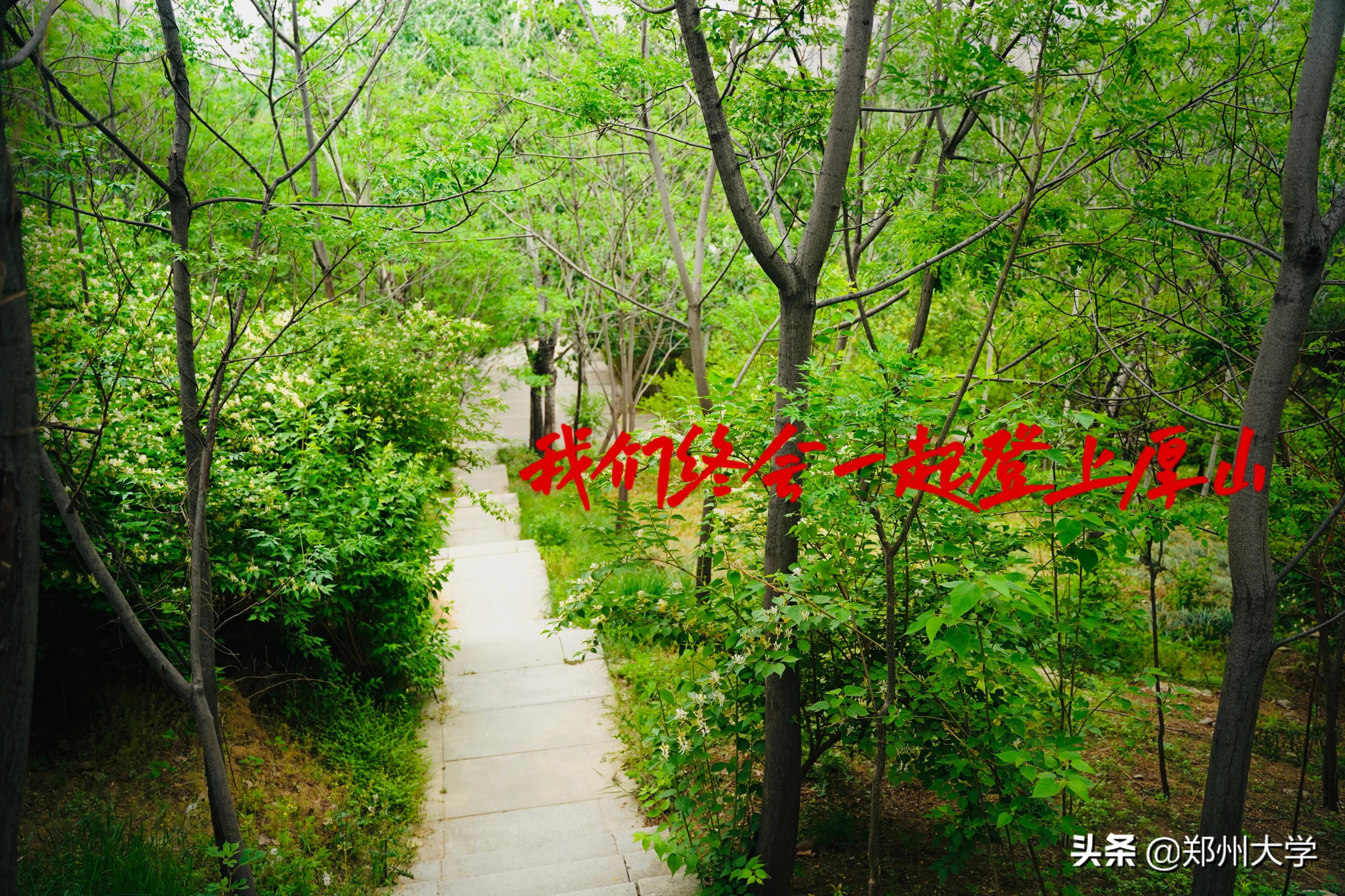 高考倒计时50天！请收下来自郑大厚山的祝福！