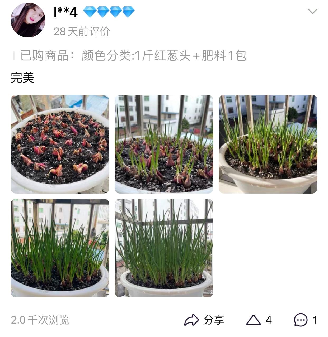 种菜DNA动了！淘宝上蔬菜种子购买人数连续三年增幅超100%