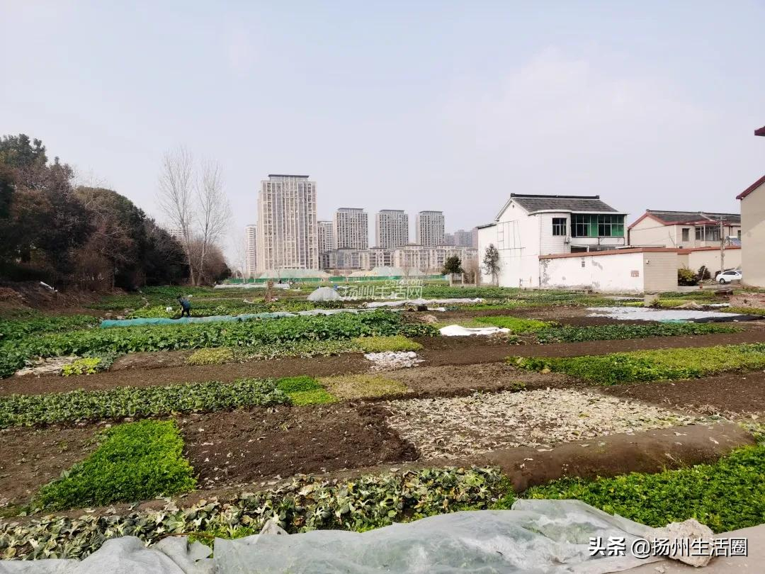 扬州拆迁,扬州拆迁补偿标准明细2022