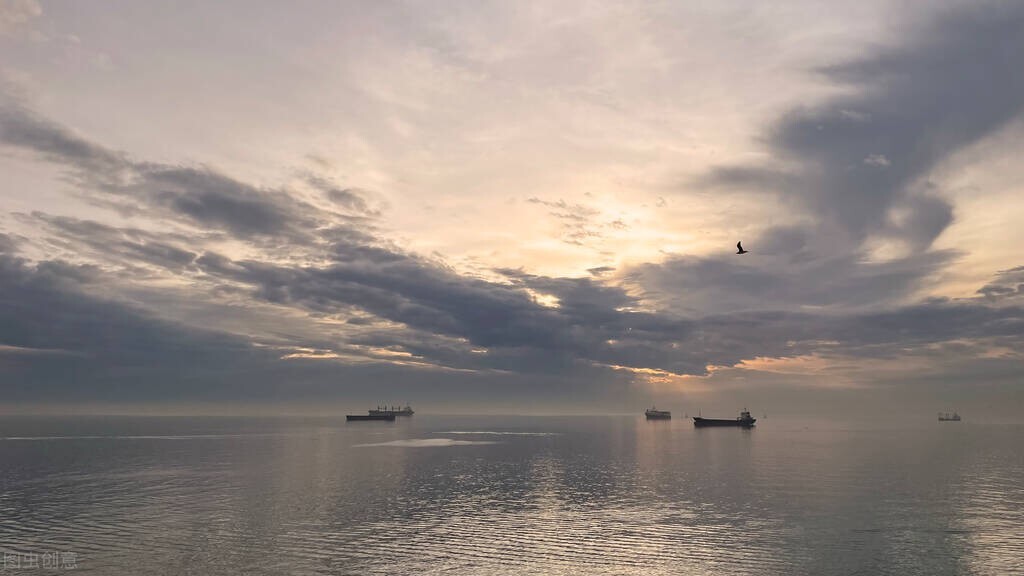 《漂洋过海来看你》歌词是“不能自己”还是“不能自已”