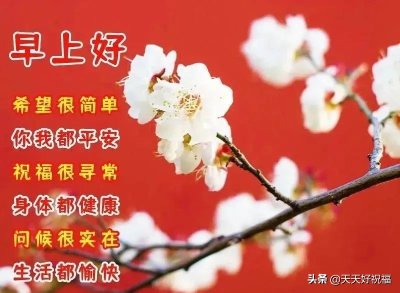 4月8日最新早上好日常祝福语大全，祝你天天快乐