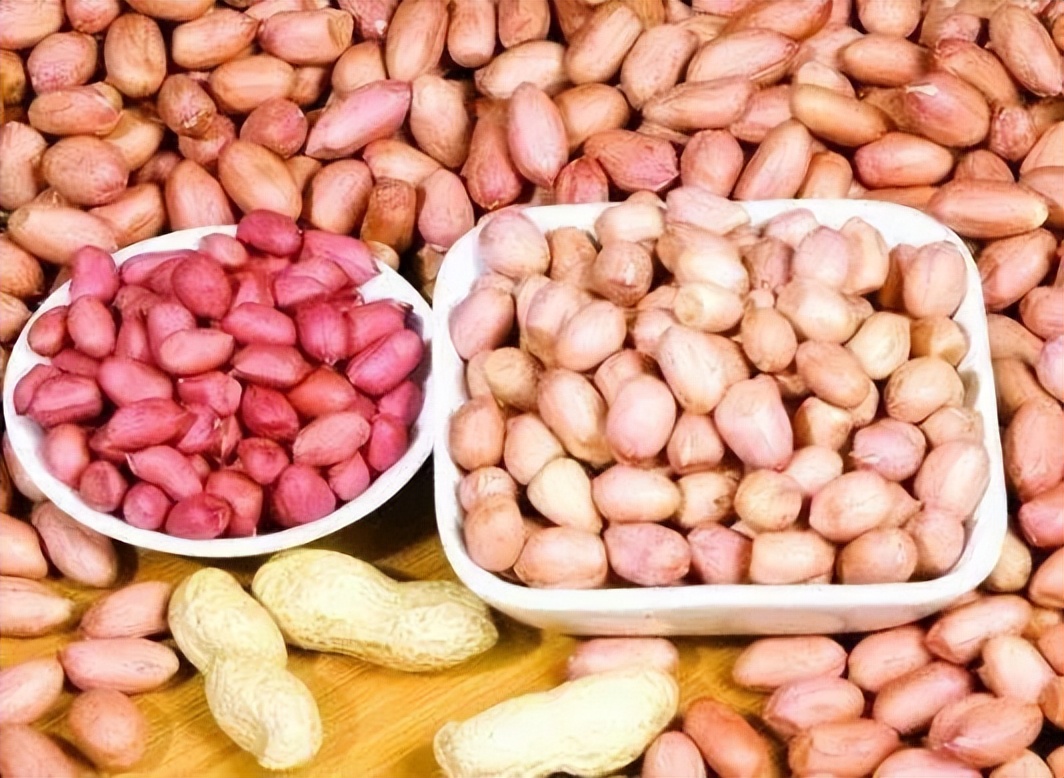 花生，是“养血管”还是“伤血管”？权威结果发布，越早知道越好