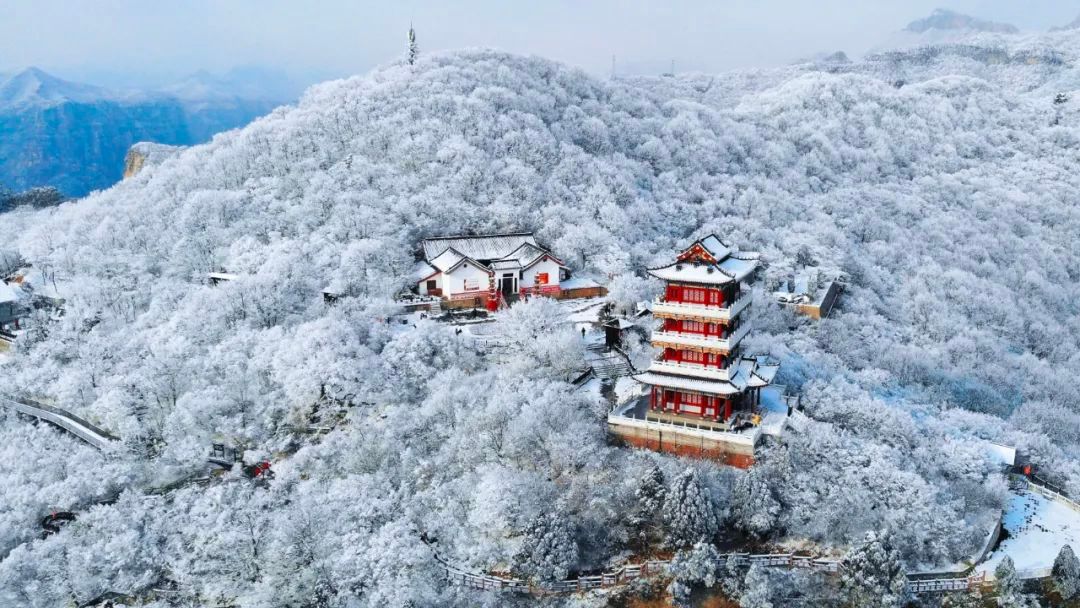 「预告」云台山雪景,冰挂,即将惊艳整个冬天