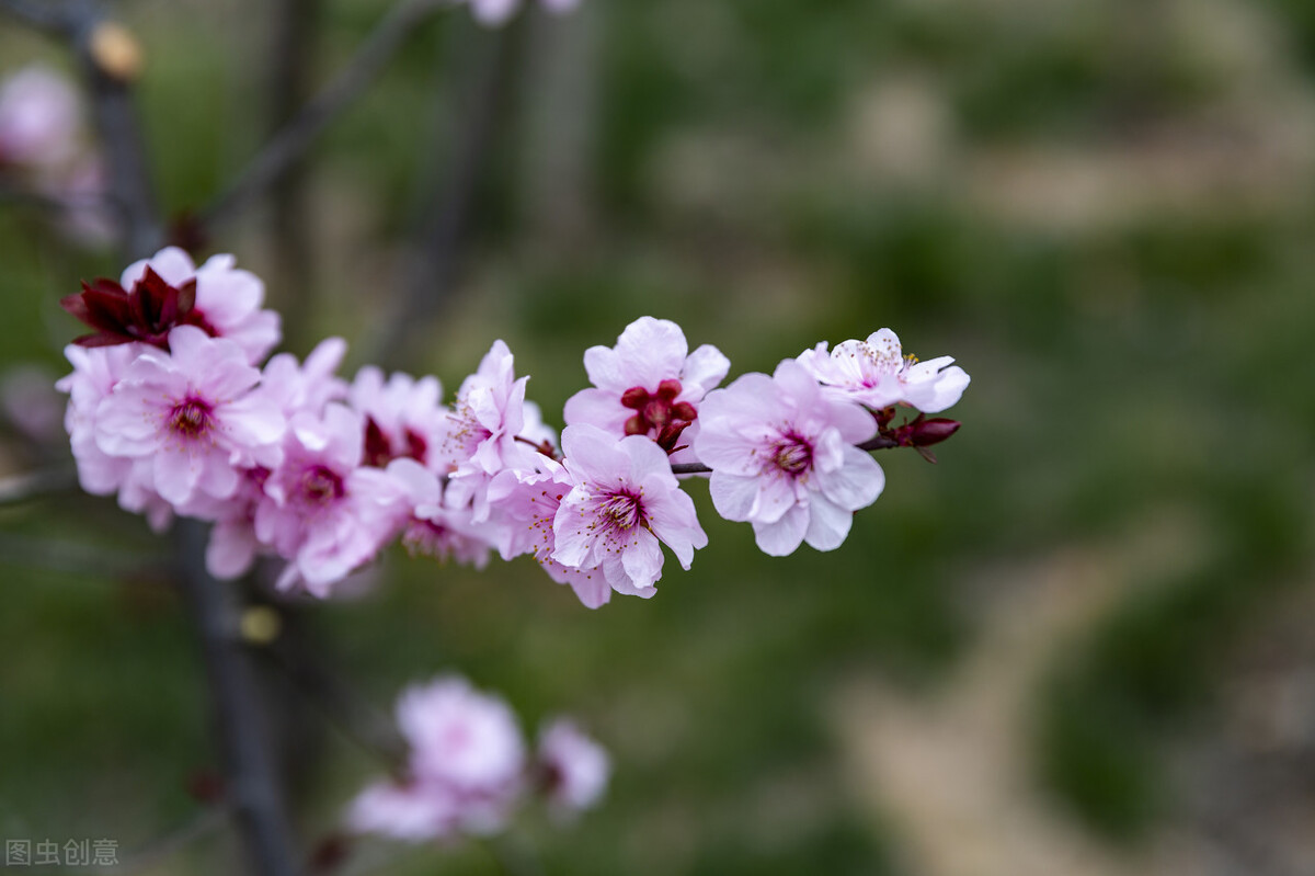写作是最划算的一笔时间投资