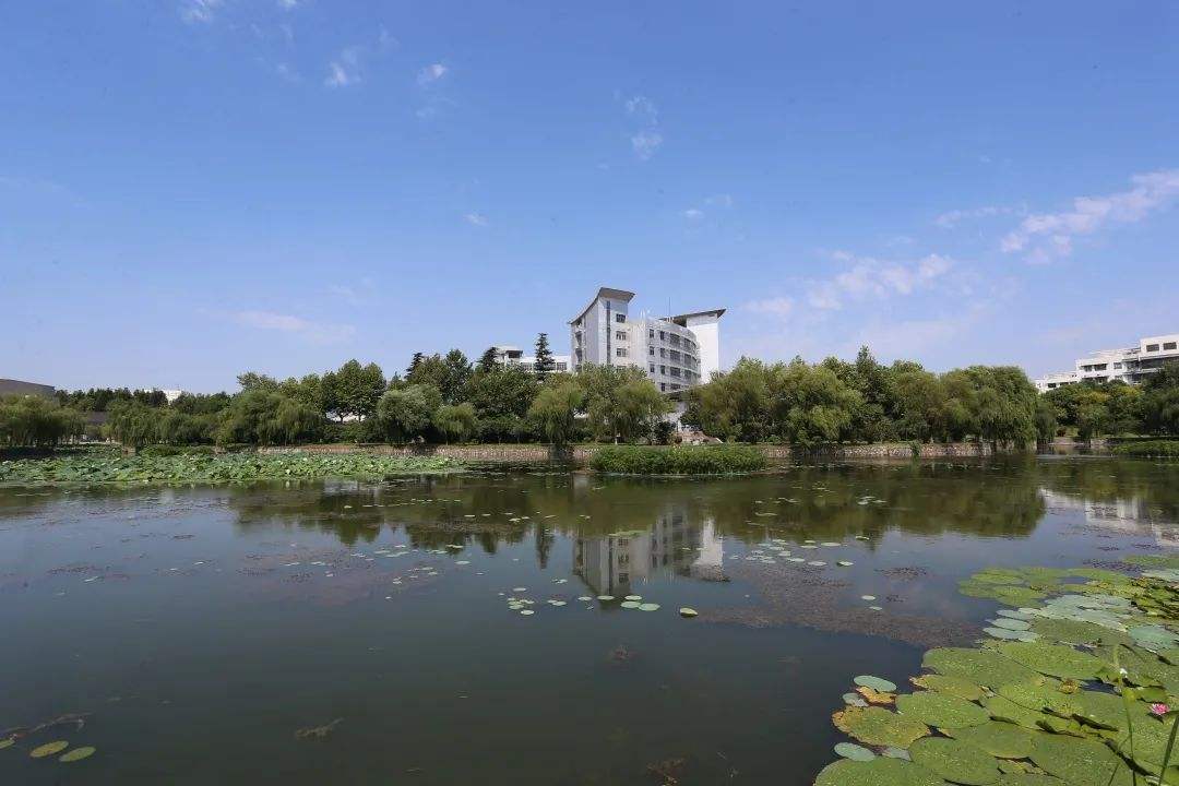 除了徐州的四所本科院校，苏北还有六所本科高校，都是谁怎么样？