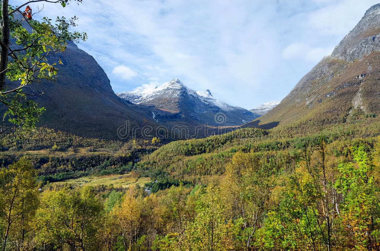 基于教材文本的阅读策略教学探索
