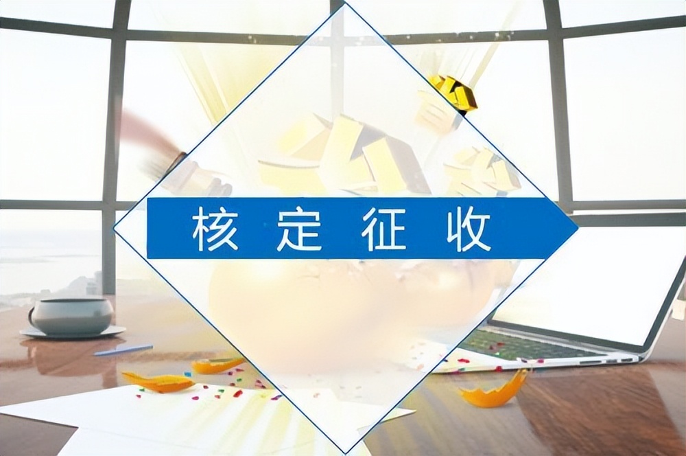 一个人可以注册几家公司（想注册个税可以核定的个体户）