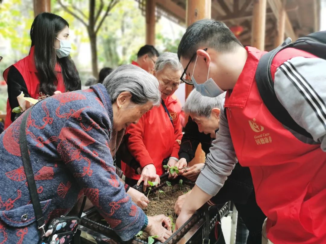 不亦乐乎！养老院可以种菜了