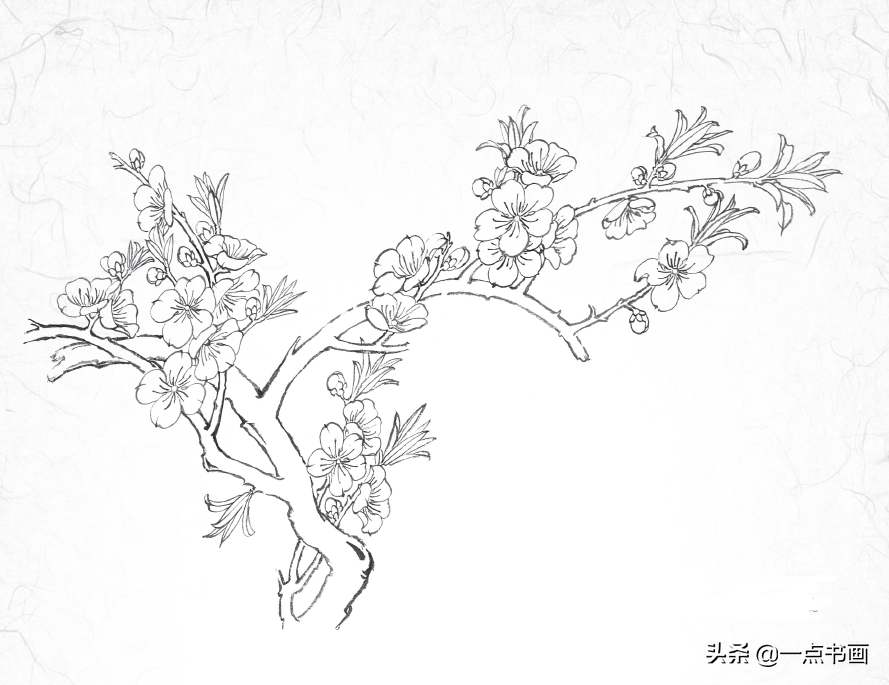 桃花简笔画简单又好看白描玉兰花与桃花画法步骤