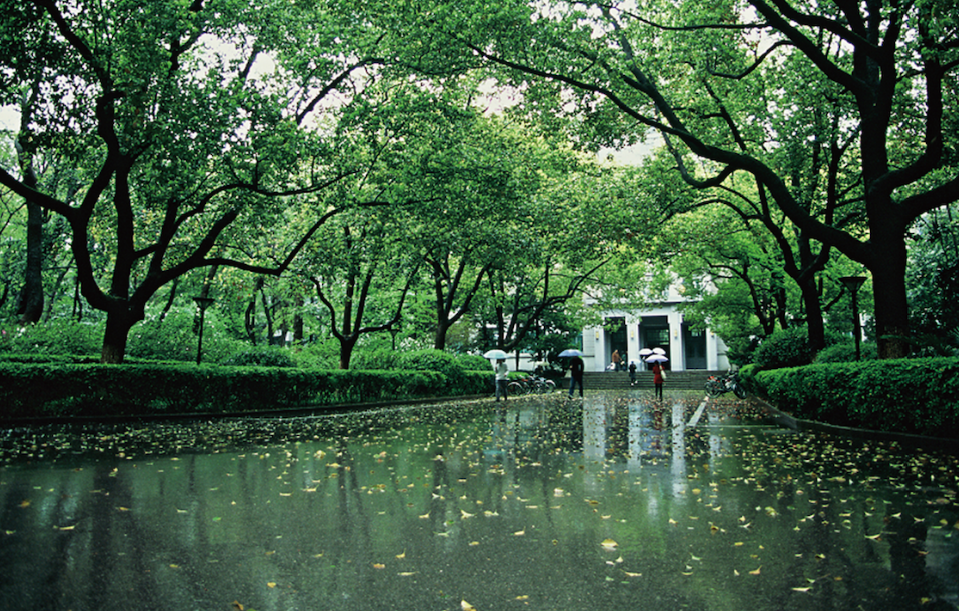 江苏省排名前十的大学，南京大学排第一，都是国内有名的高校