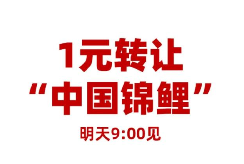 中大奖4年后，再看“中国锦鲤”信小呆现状，你应该感到庆幸