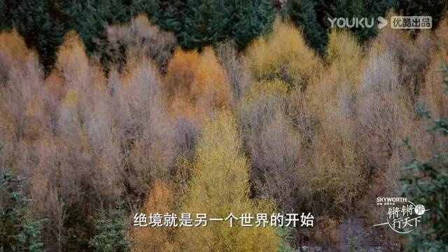 这“奇葩”是年度第一？播一集骂一集，竟成访谈节目最后的体面？