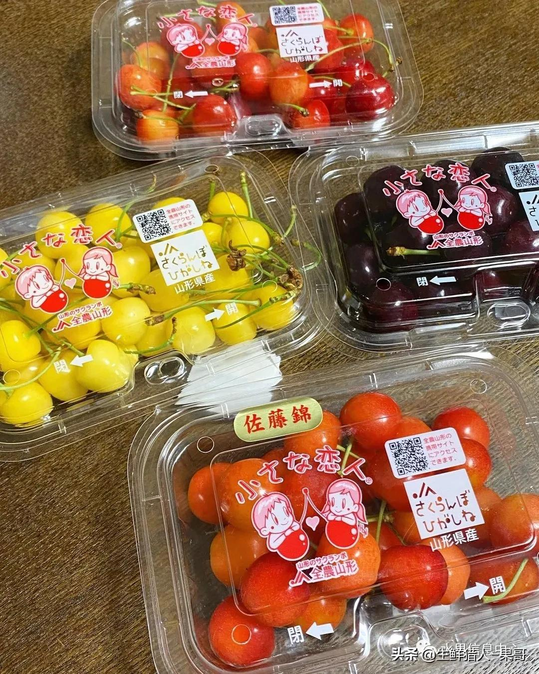 「深度解析」日本的水果贵在哪？环境、品牌、栽种方式都是关键