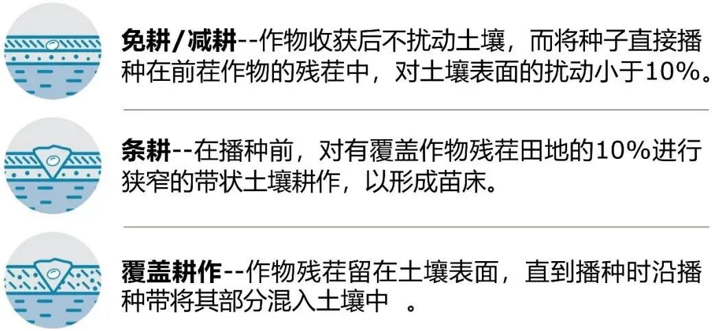 发展大豆玉米带状复合种植，看美国豆农怎样应用保护性耕作种大豆