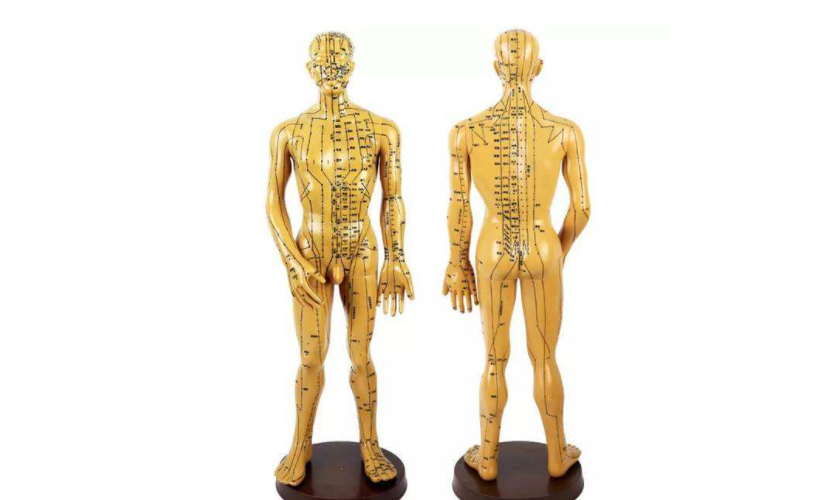 中医药有了动漫代言人！如何看待中医药代言人？助力中医药传播