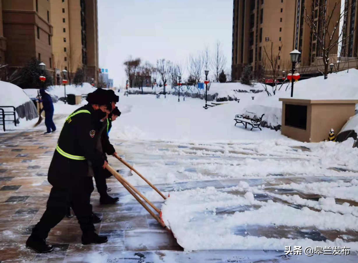 �����ɲ�Ⱥ�������� ��������ѩ����ģʽ��