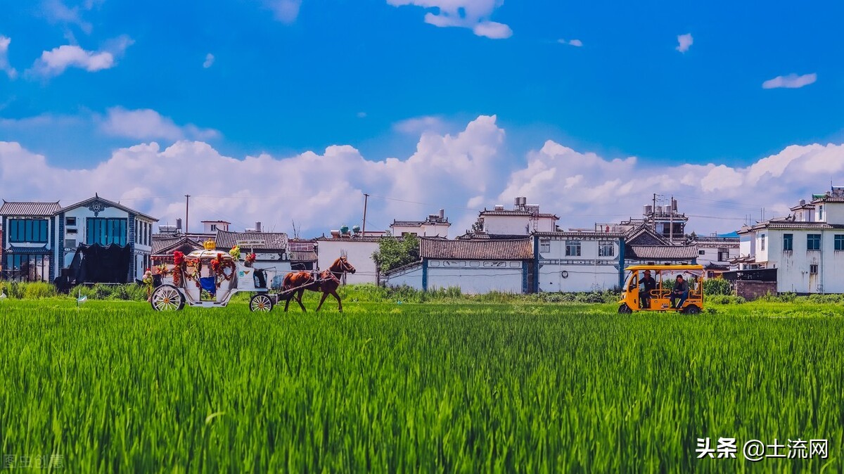 云南省2022年農(nóng)牧民補助政策：農(nóng)機購置補貼怎么辦理？