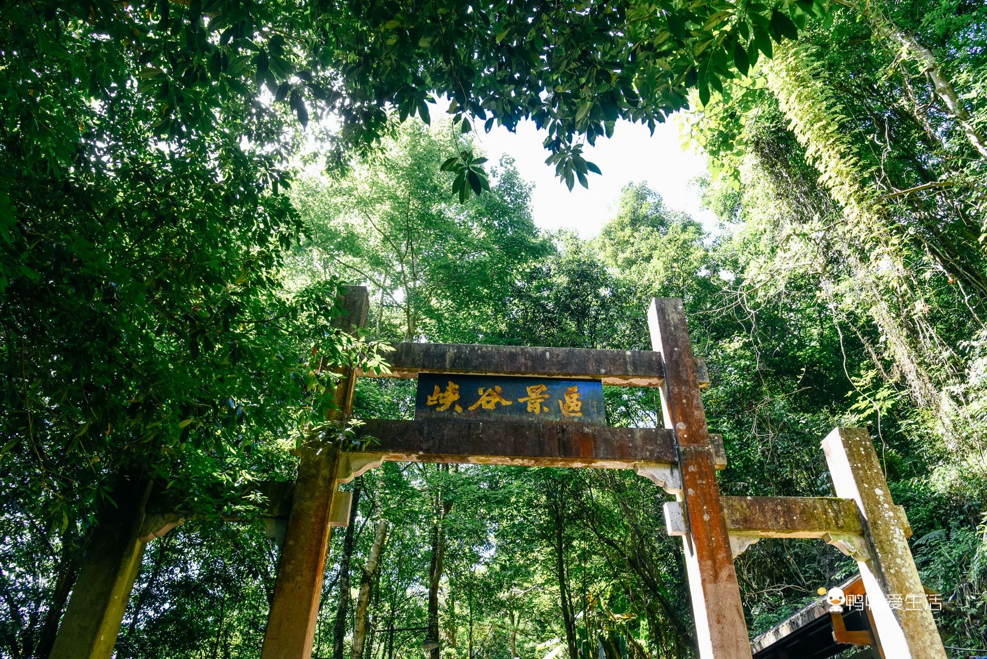 浙江最出名的温泉藏在泰顺华东大峡谷内，常年高热，功效奇特
