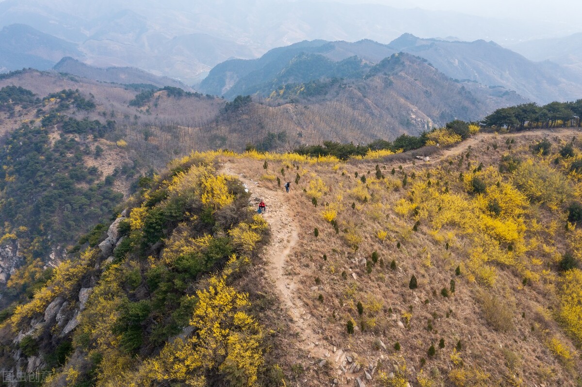 中药材普涨：连翘涨至50，红桃K翻倍，丹参亩赚2万！还有啥不涨？