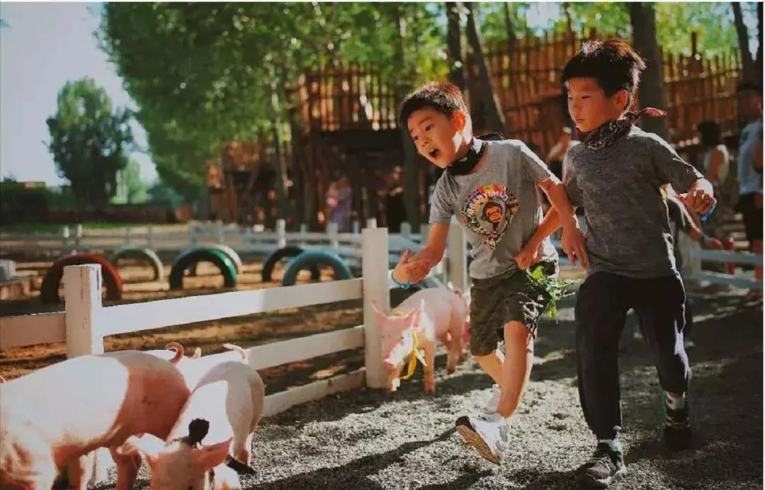 如何做好乡村亲子研学