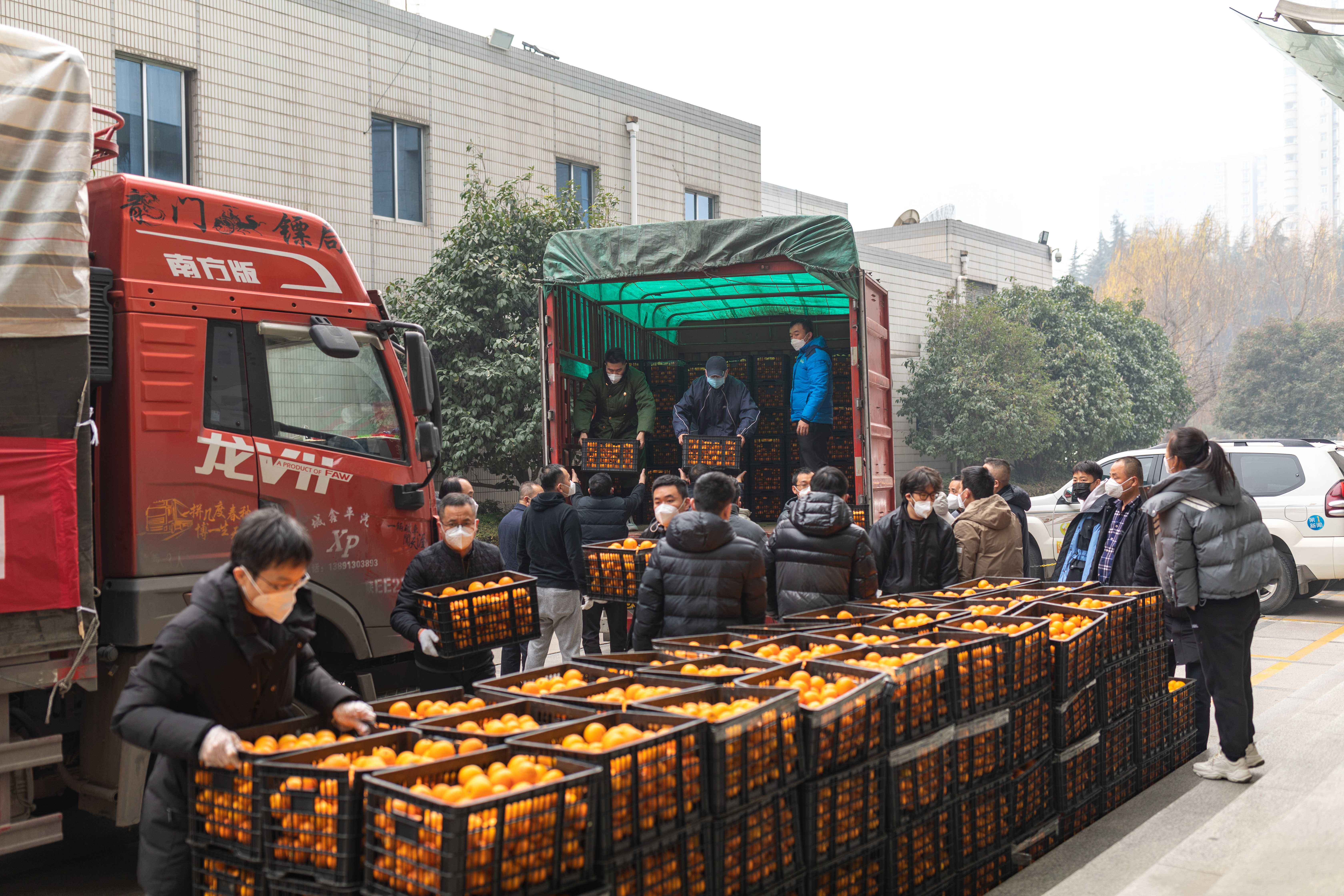 陕西农业品牌网、陕西绿农商贸公司为一线医护和新闻工作者送水果
