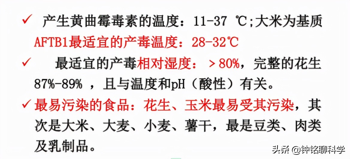 1克普洱熟茶5亿枚细菌？喝普洱等于喝脏水？普洱茶到底能不能喝？