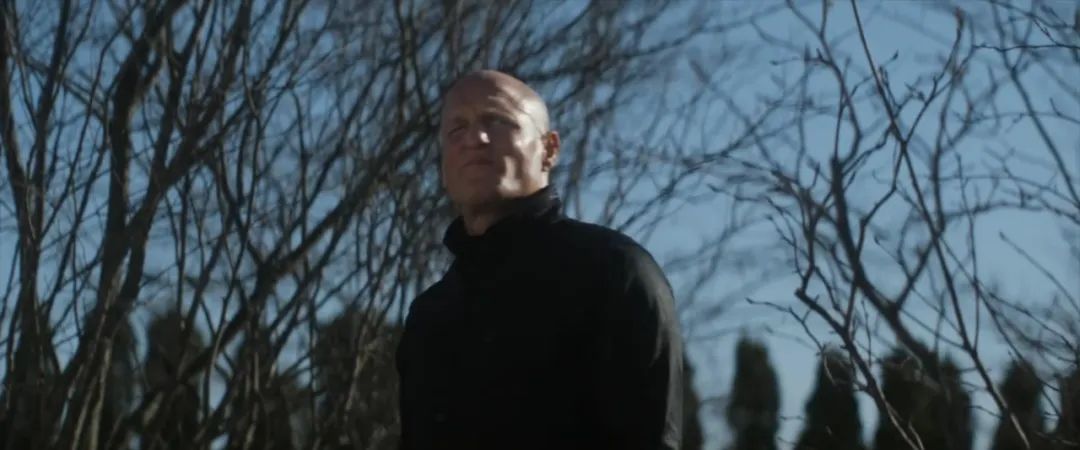 光头硬汉演喜剧，真能把人笑岔气