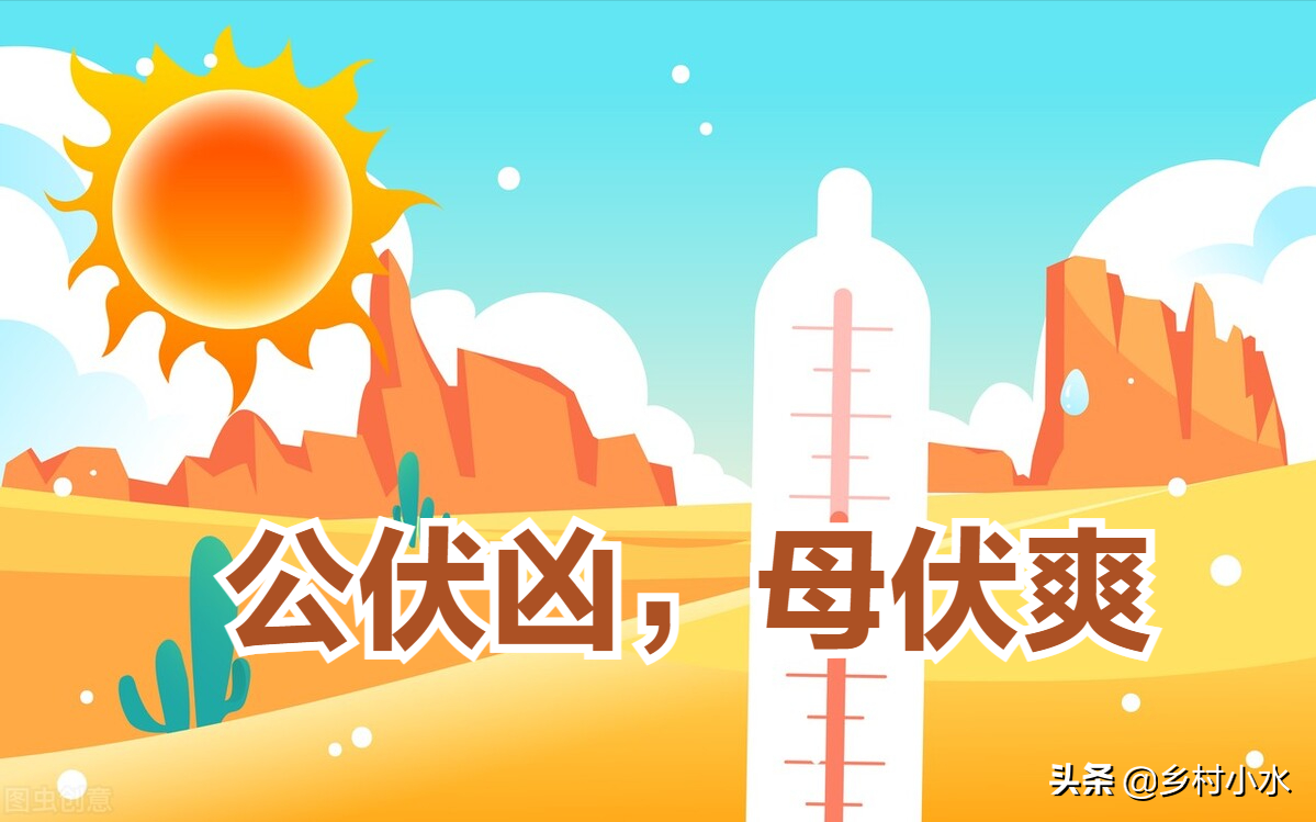 “公伏凶，母伏爽”，2022年哪天入伏？今年入伏后很热吗？