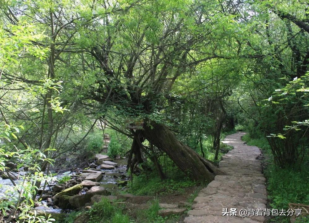 塞上江南·宁夏必玩的十大景区，全部去过，才算真正地玩转宁夏