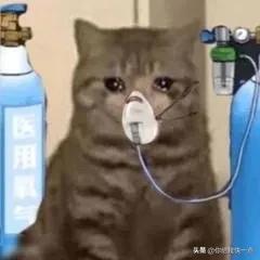 长广王高湛，贪图享乐，荒淫无度！《陆贞传奇》纯纯大骗子