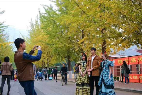 安徽大学和辽宁大学哪个更好？630分左右选择谁合适，数据告诉你