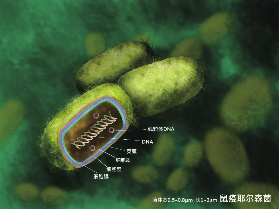 21世纪是生命科学的世纪，这套书，推荐孩子们都看看