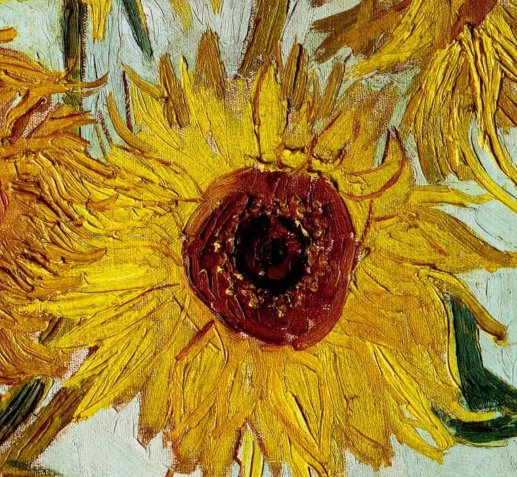 梵高的向日葵-梵高的向日葵图片