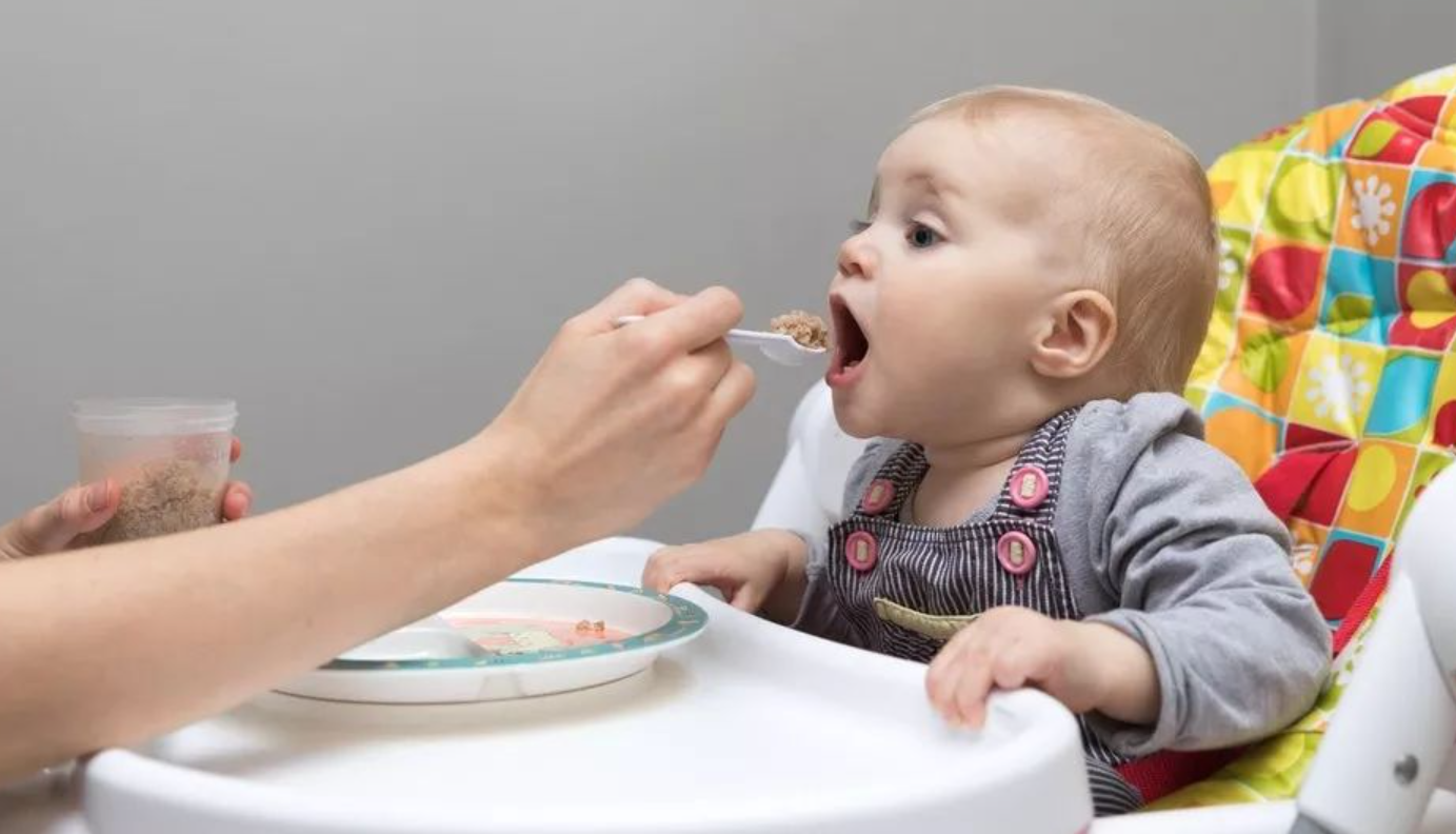 婴儿十个月吃什么辅食（10个月宝宝怎么加辅食）-幼儿百科-魔术铺