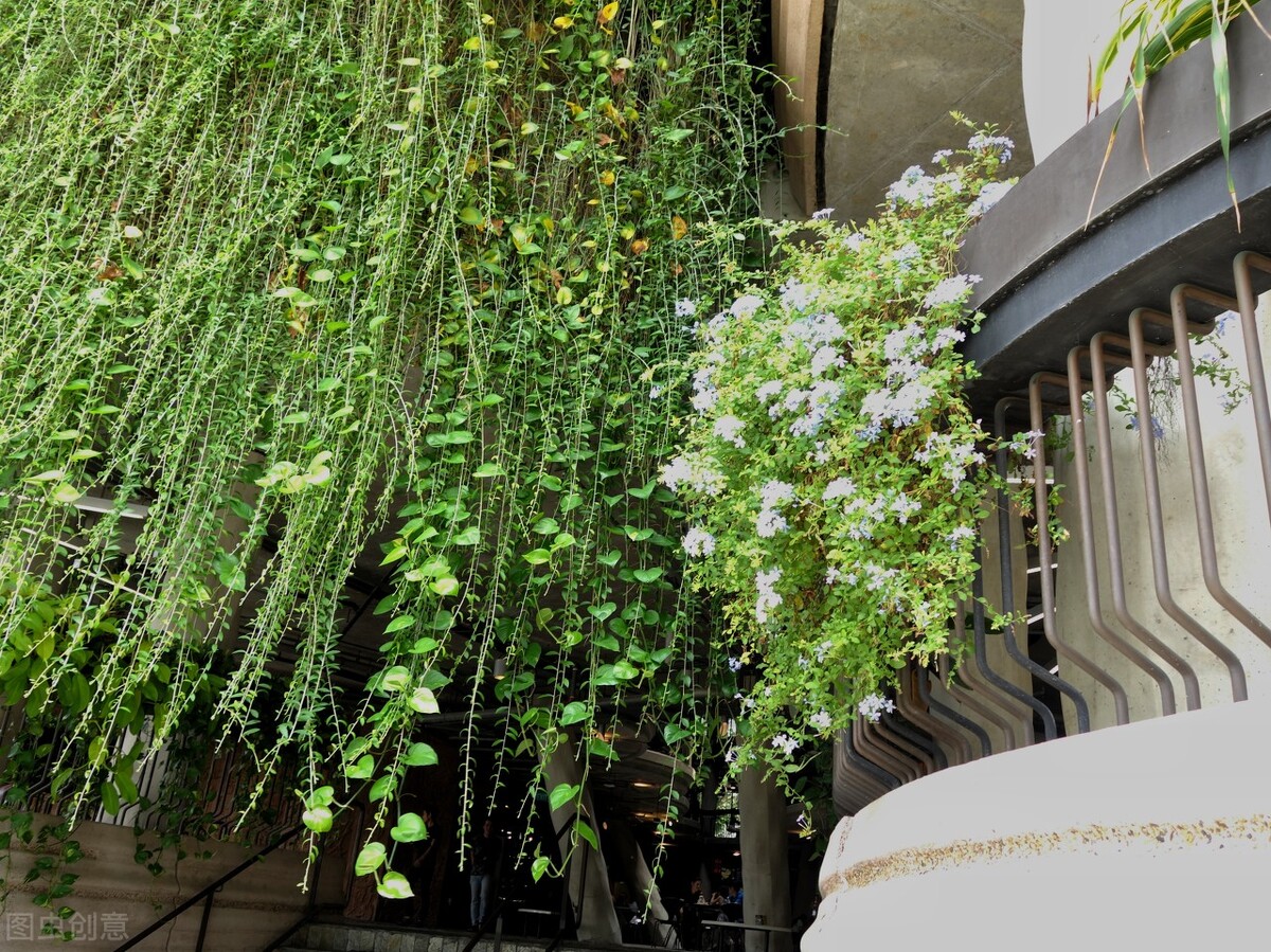 南洋理工大学计算机硕士学费