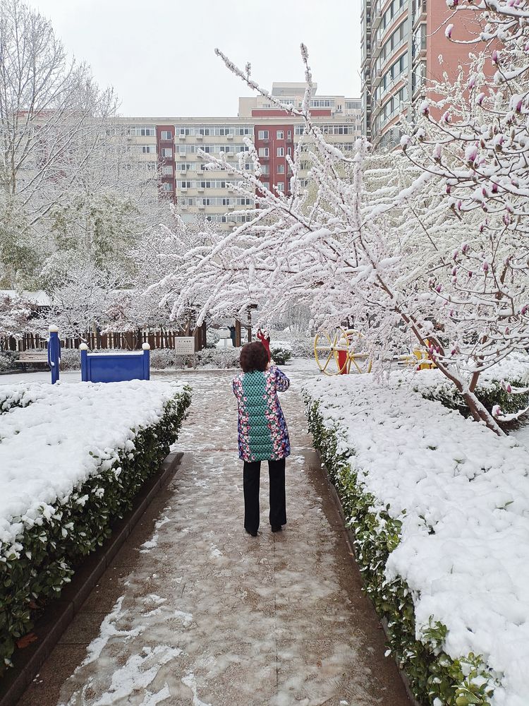 一场雪，让这里的春天真美 摄影/诗文：李武兵