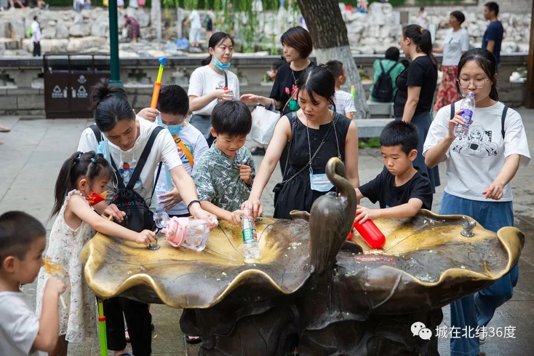 入伏了，与济南来一场泉水之约