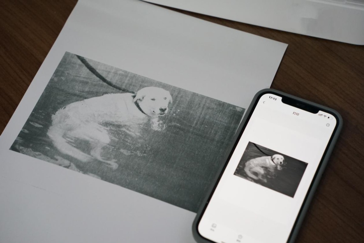 喵喵机家用学习打印机F1深度体验：它到底适不适合家用打印？