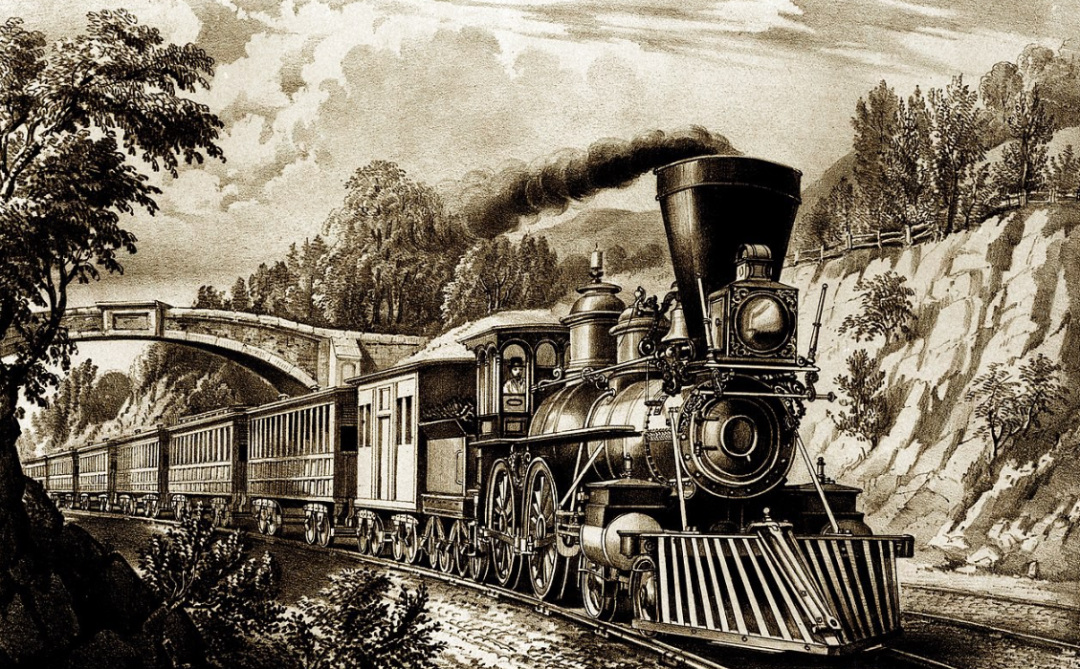 科学家警告：各种迹象表明，地球或许正进入第六次生物大灭绝