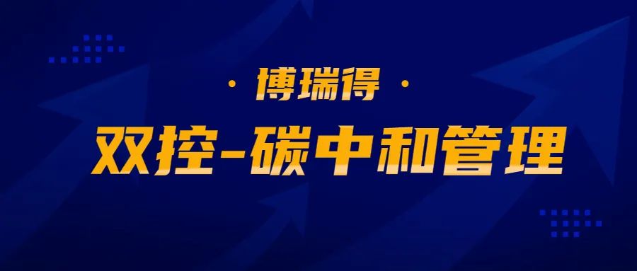 初灵股份·博瑞得科技智慧化服务，助力数字政府建设