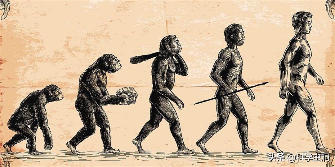 人类宝宝那么蠢,不会走路只会哭,如何在原始社会生存呢?