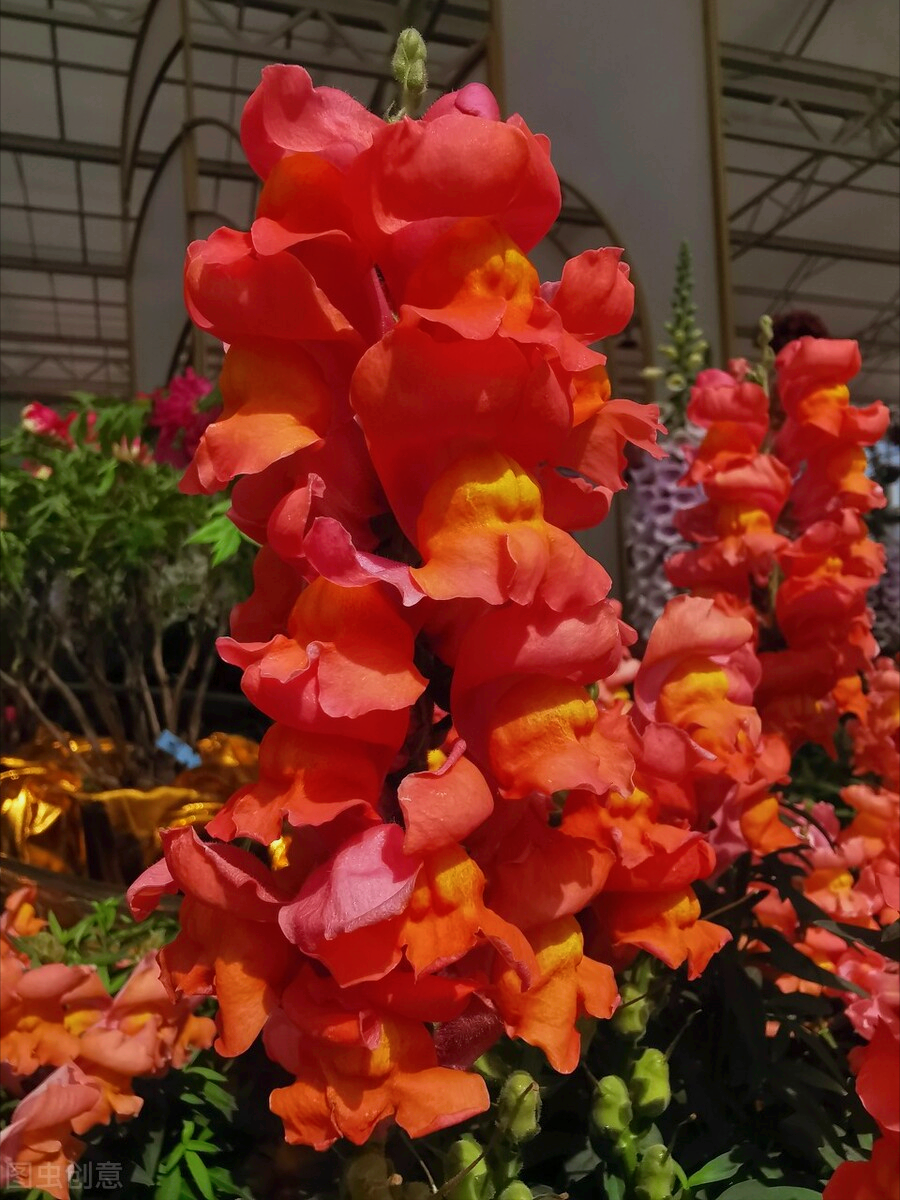 一花一世界，一花一深爱，只要与花相遇，就念在心里，爱到永久